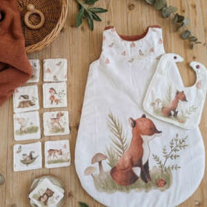 Renard